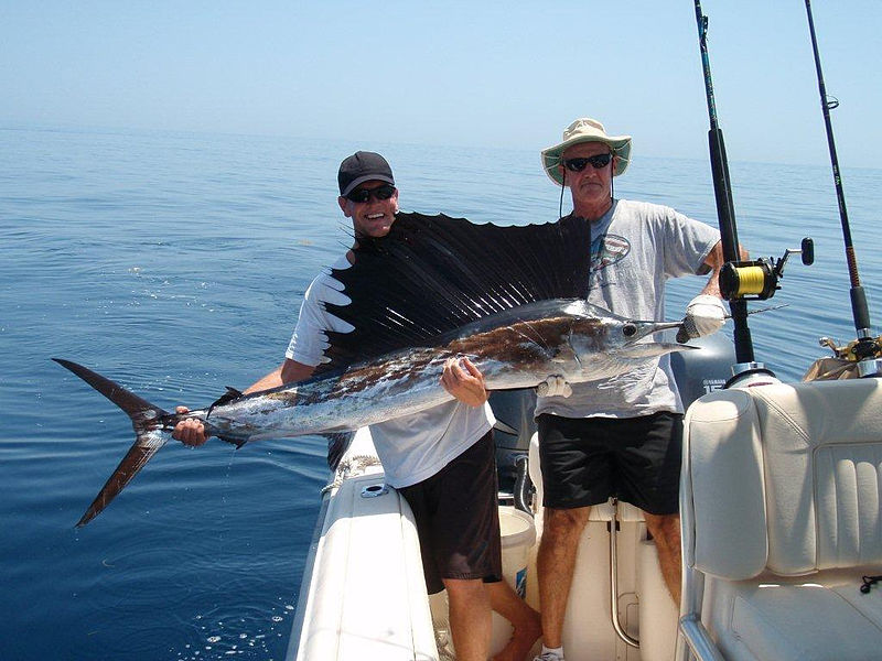 sailfish caught in Costa Rica