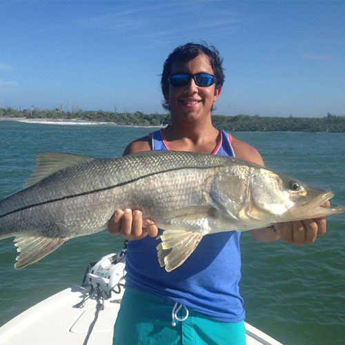Espèces de poissons du Costa Rica – Wahoo - FECOP